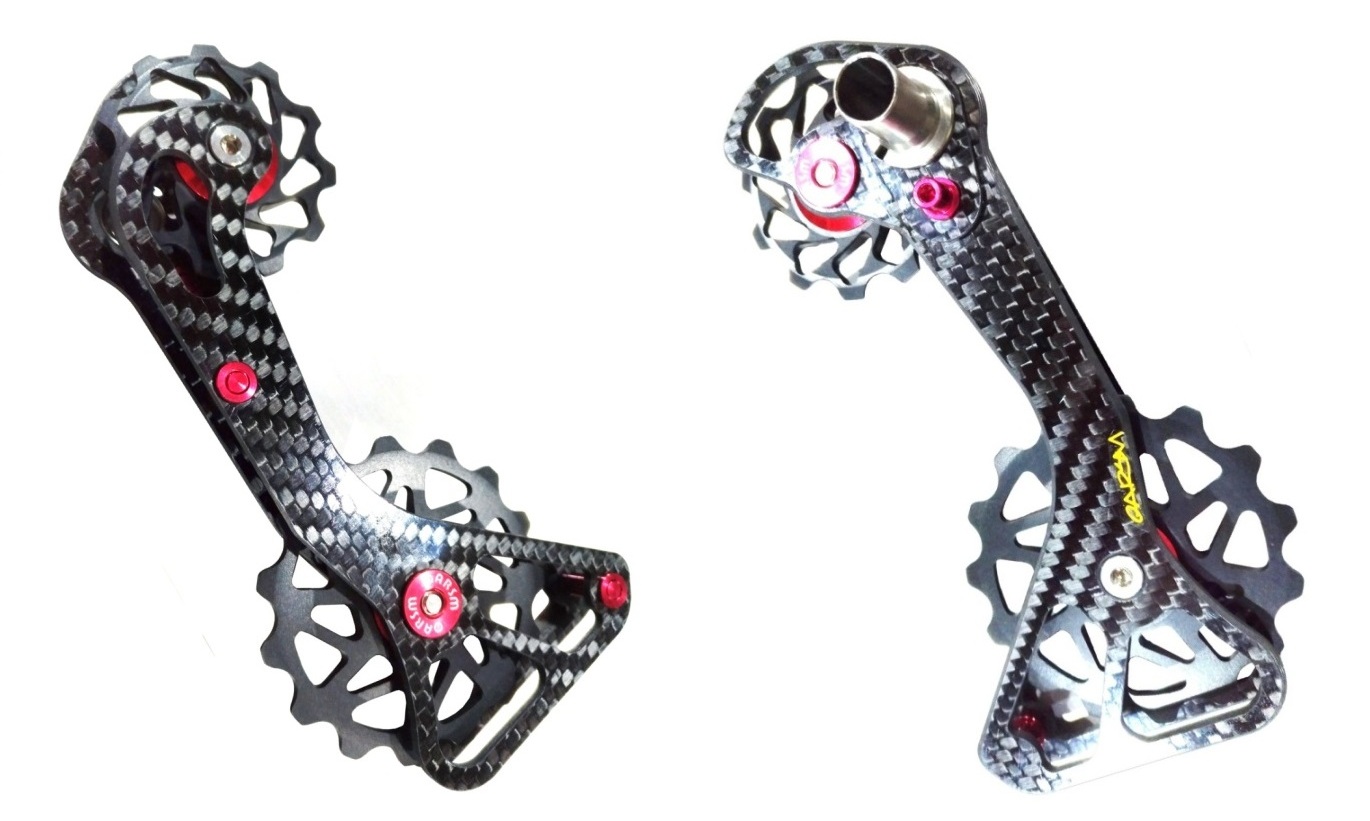 carbon fiber cage